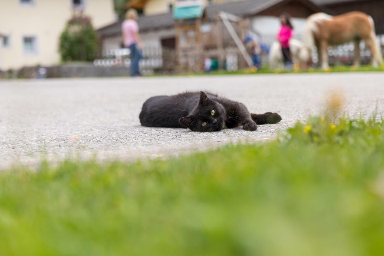 Hieserhof Neustift im Stubaital Bagian luar foto