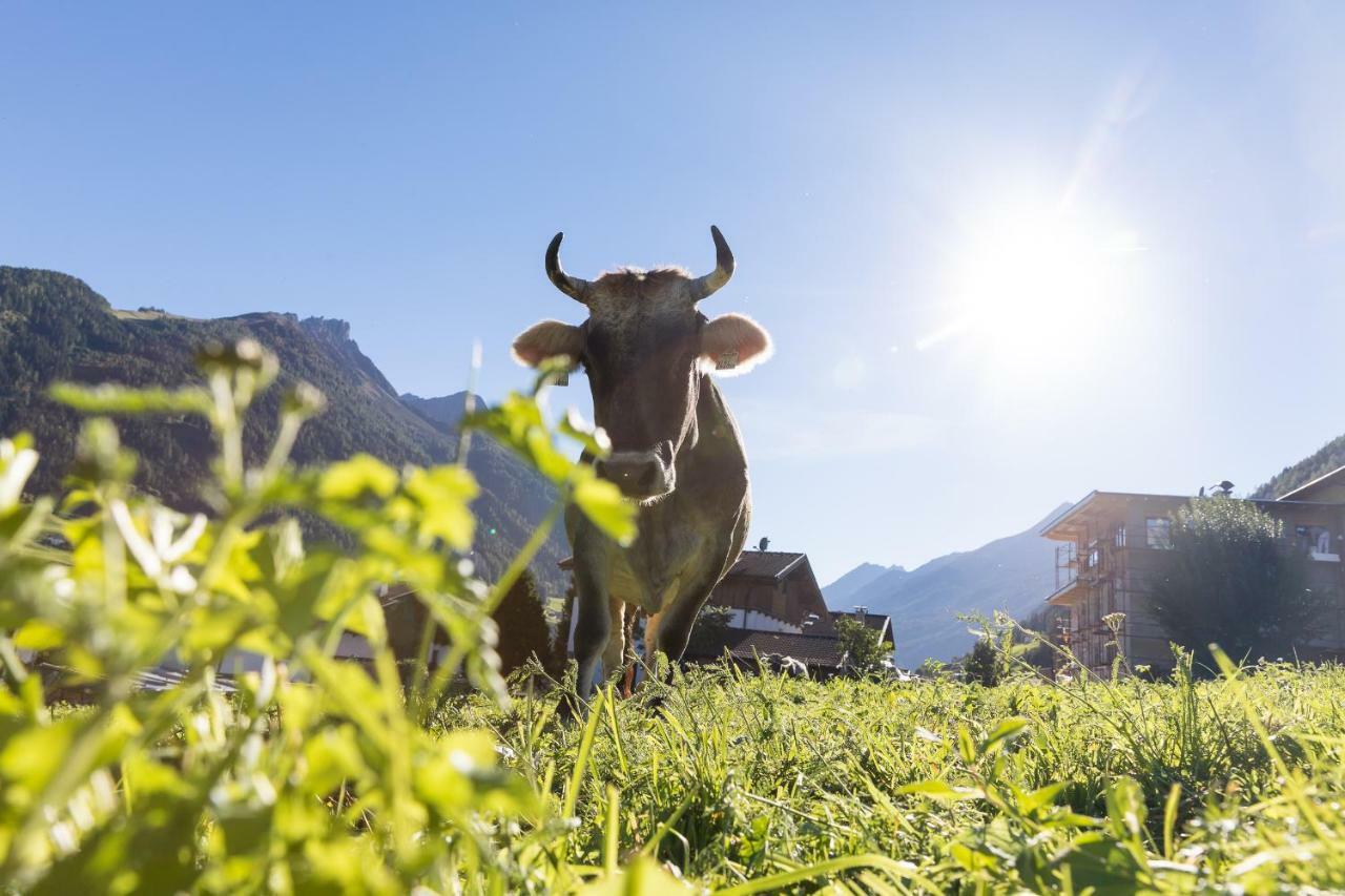 Hieserhof Neustift im Stubaital Bagian luar foto